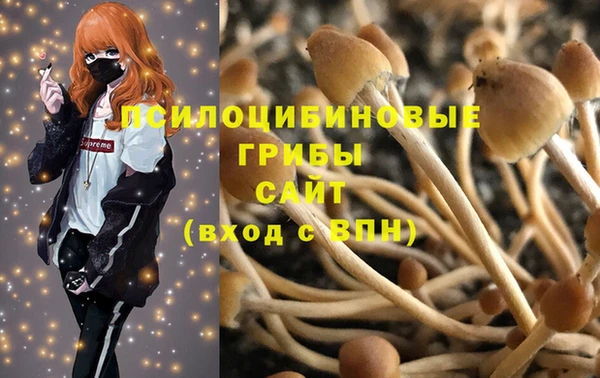 дурь Аркадак