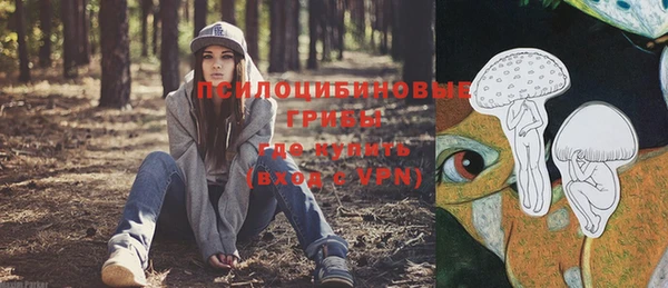 дурь Аркадак